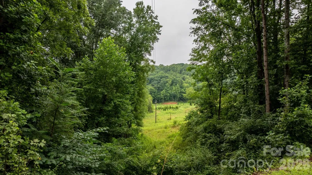 1755 F M Mclean Place Lenoir, NC 28645