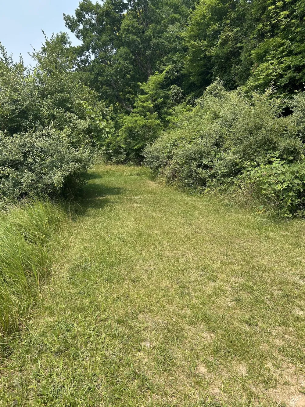 Lots 5, 6 Longebridge West Pentwater, MI 49449