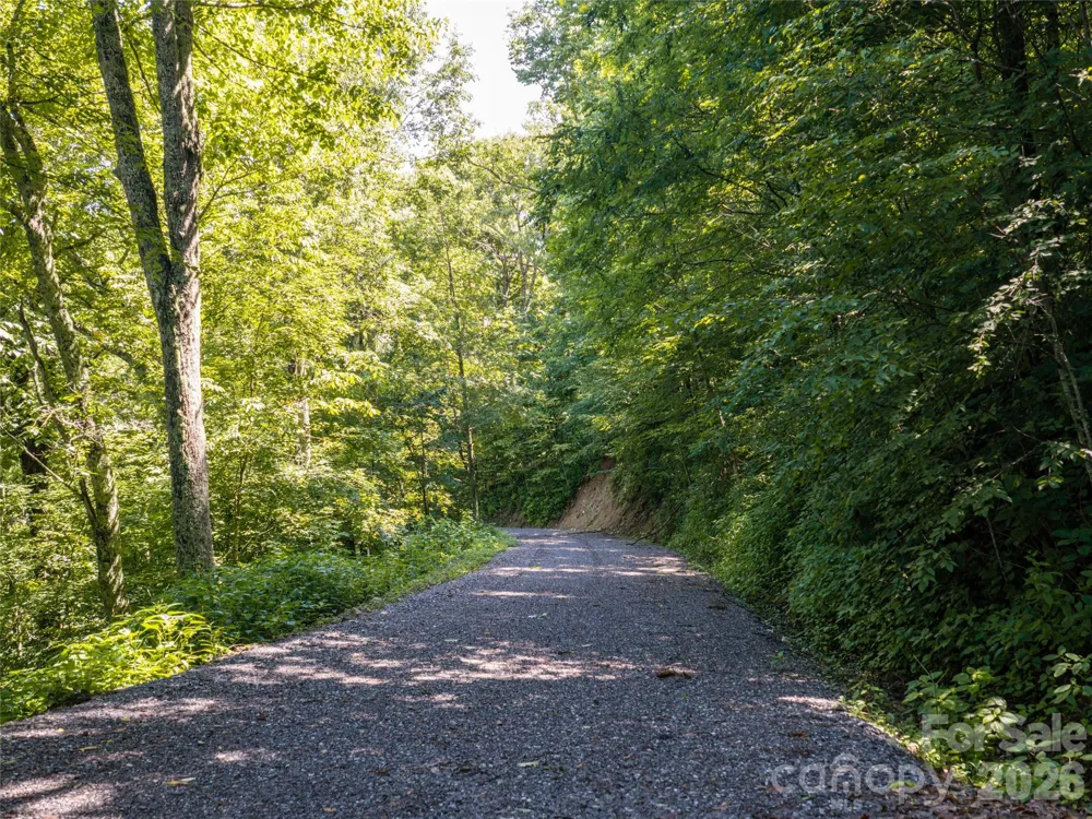 #E16 Adela Trail Maggie Valley, NC 28751