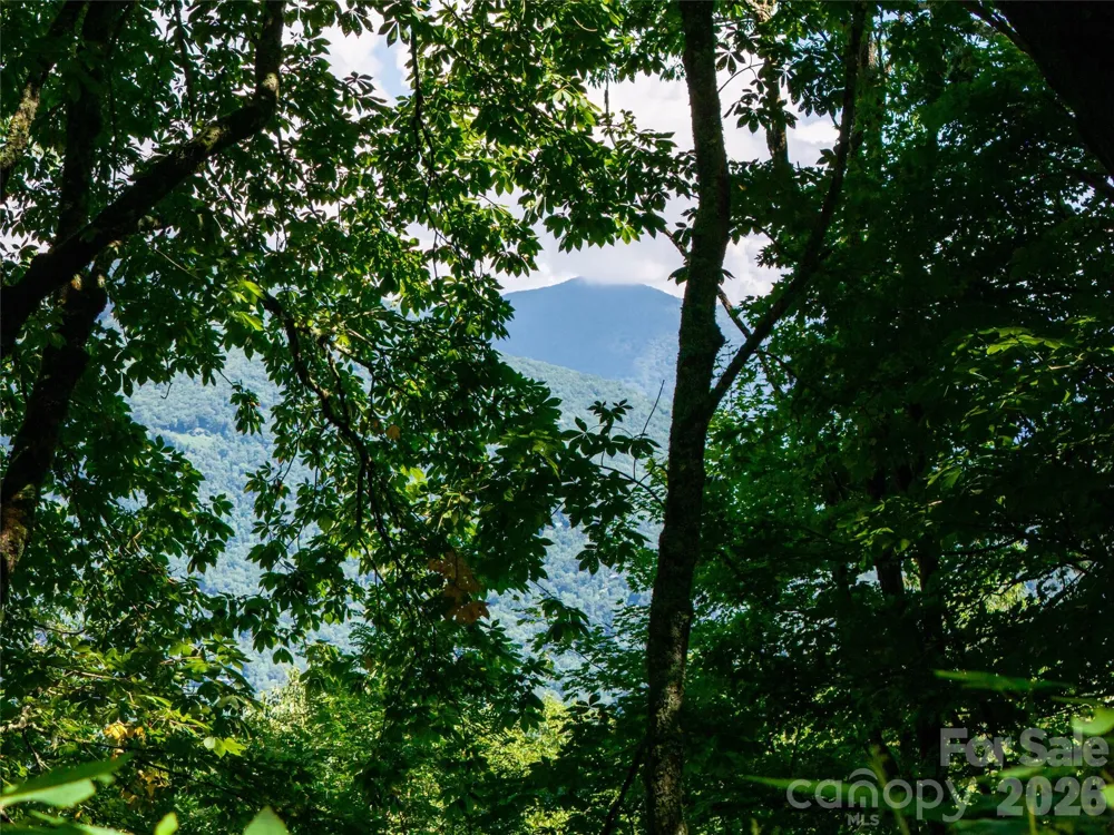 #E16 Adela Trail Maggie Valley, NC 28751