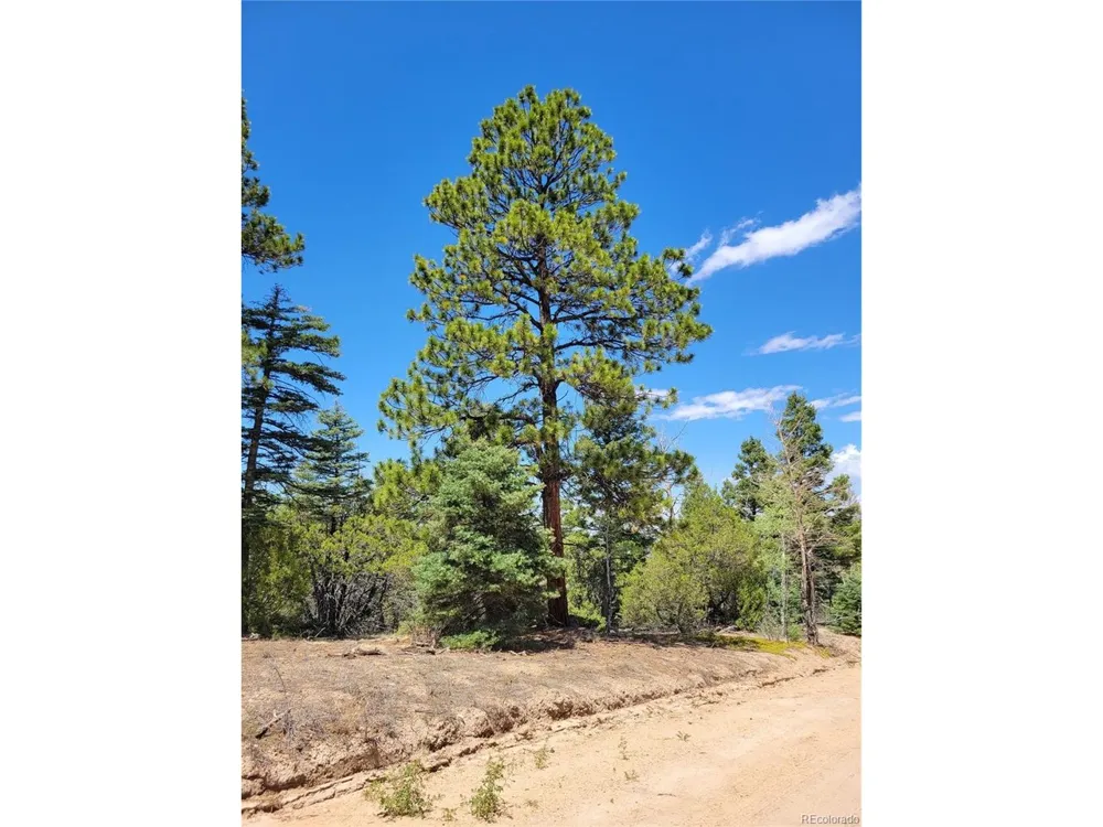 2716 Sesame Road Fort Garland, CO 81133
