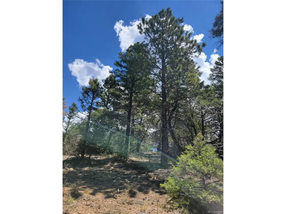 2716 Sesame Road Fort Garland, CO 81133