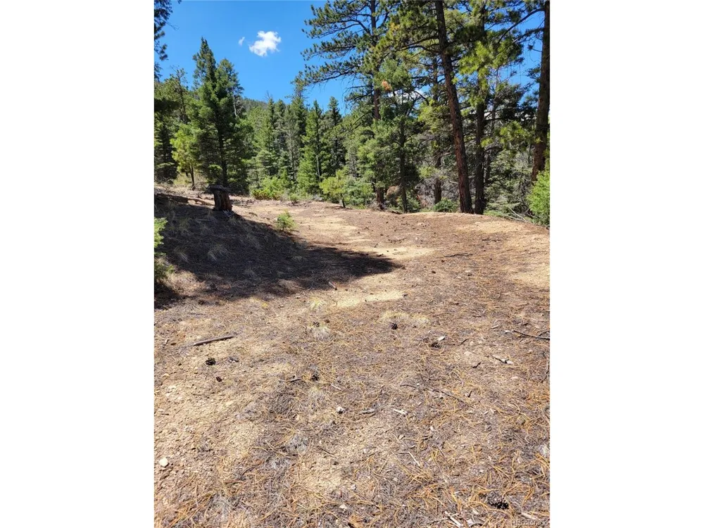 2716 Sesame Road Fort Garland, CO 81133