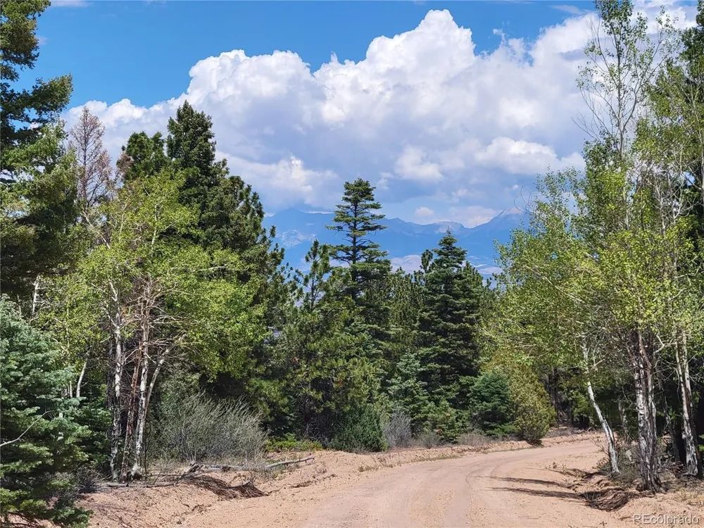 2716 Sesame Road Fort Garland, CO 81133