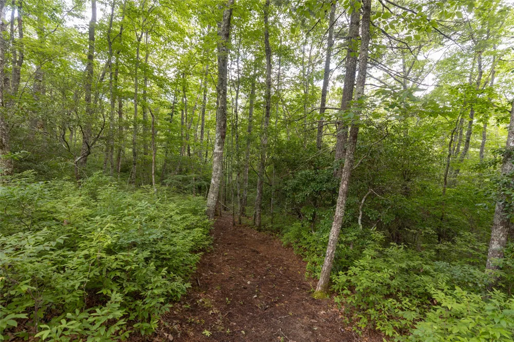 105 Crippled Oak Trail Glenville, NC 28736