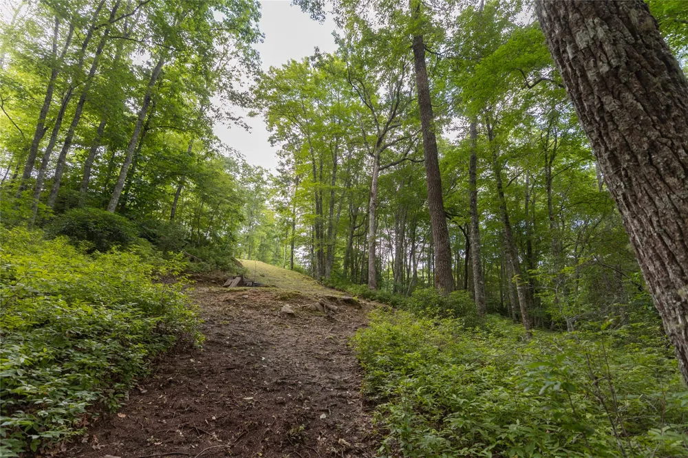 105 Crippled Oak Trail Glenville, NC 28736