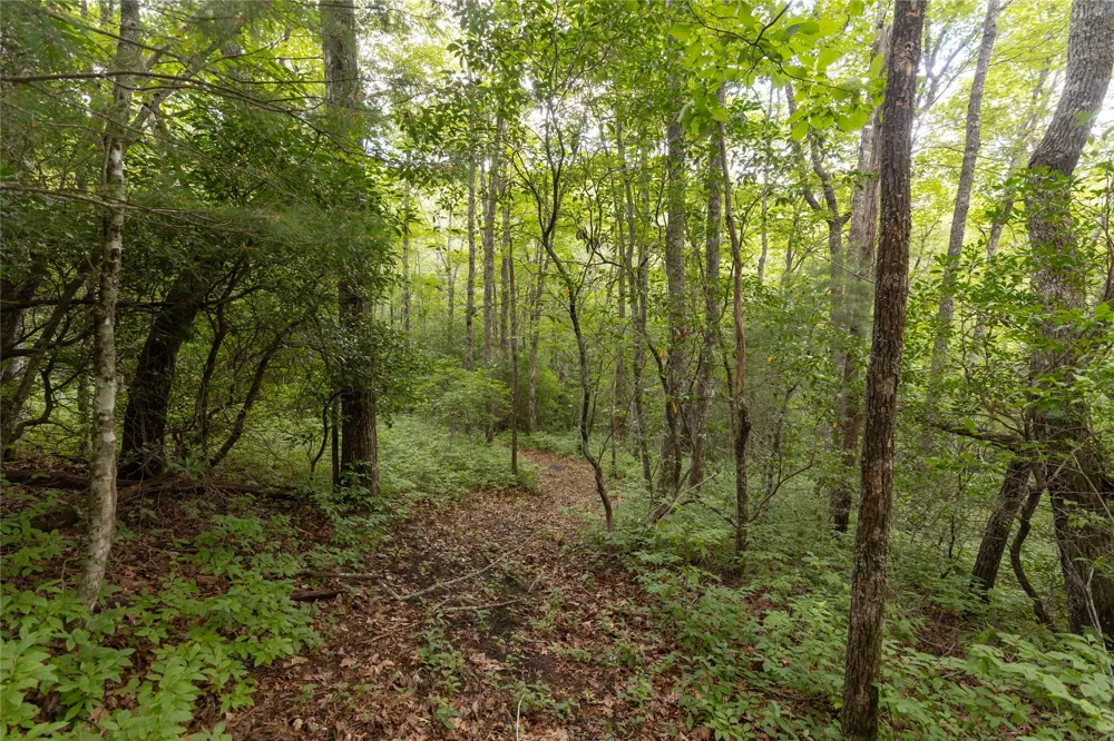 105 Crippled Oak Trail Glenville, NC 28736