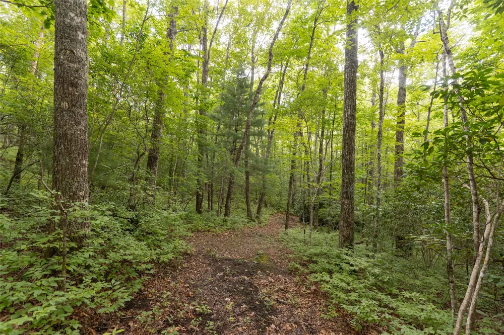 105 Crippled Oak Trail Glenville, NC 28736