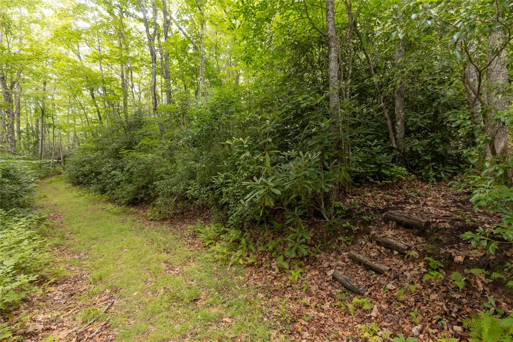 105 Crippled Oak Trail Glenville, NC 28736