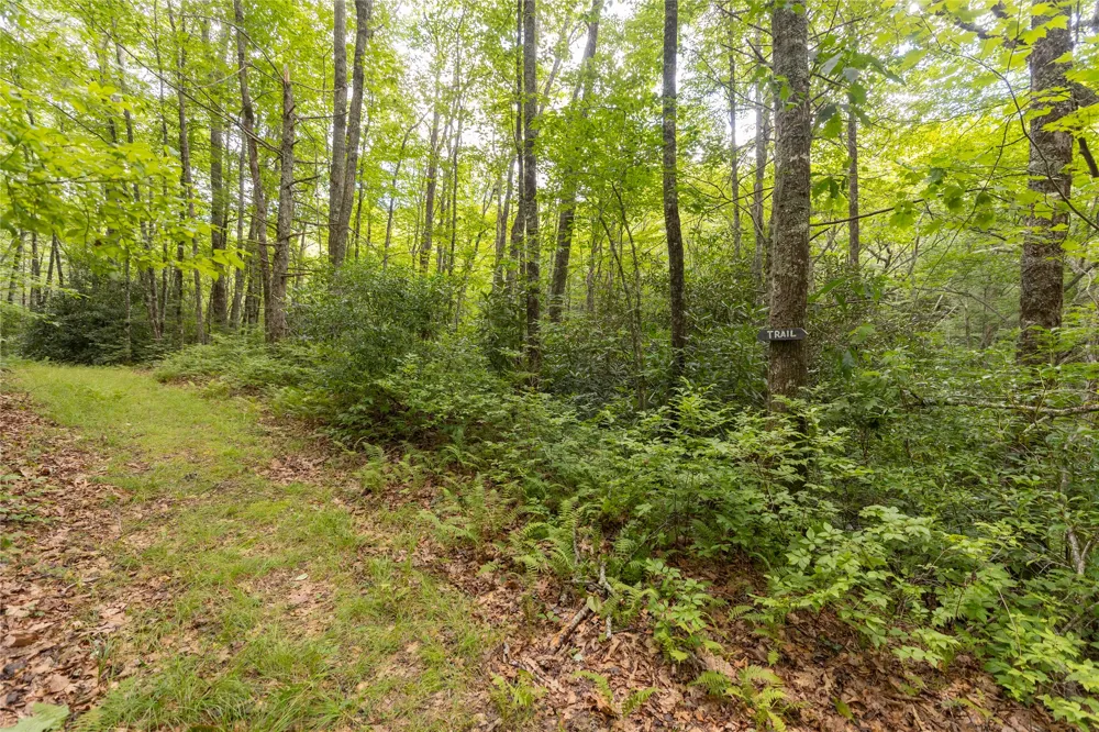 105 Crippled Oak Trail Glenville, NC 28736