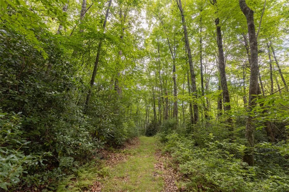 105 Crippled Oak Trail Glenville, NC 28736