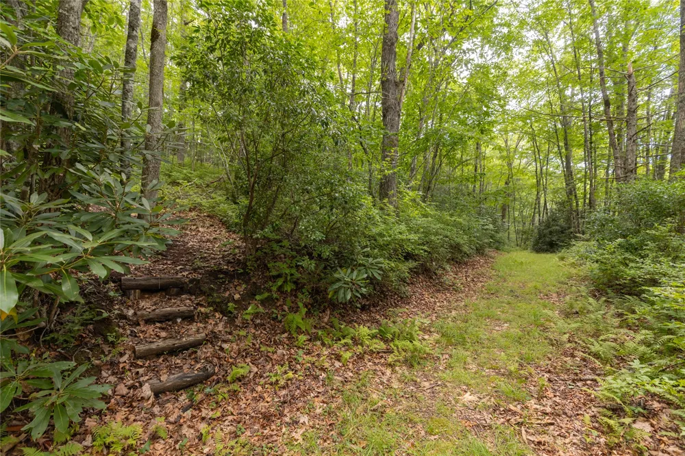 105 Crippled Oak Trail Glenville, NC 28736