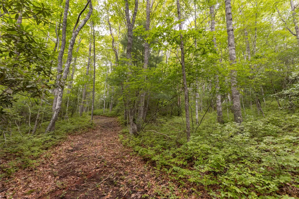 105 Crippled Oak Trail Glenville, NC 28736