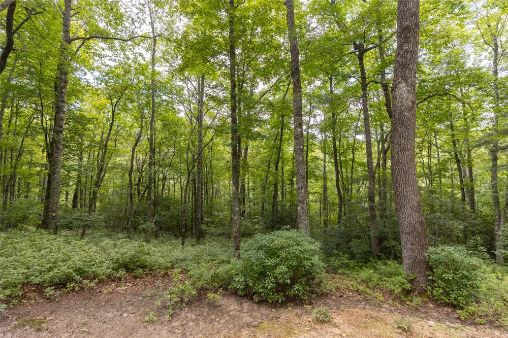 105 Crippled Oak Trail Glenville, NC 28736