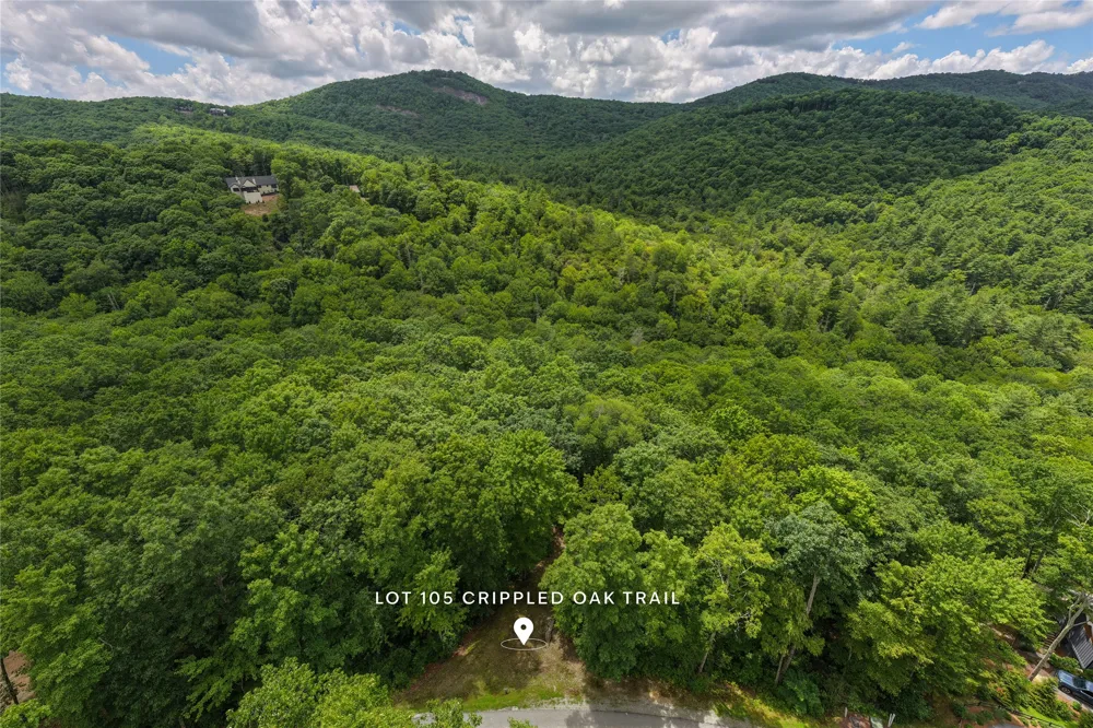 105 Crippled Oak Trail Glenville, NC 28736