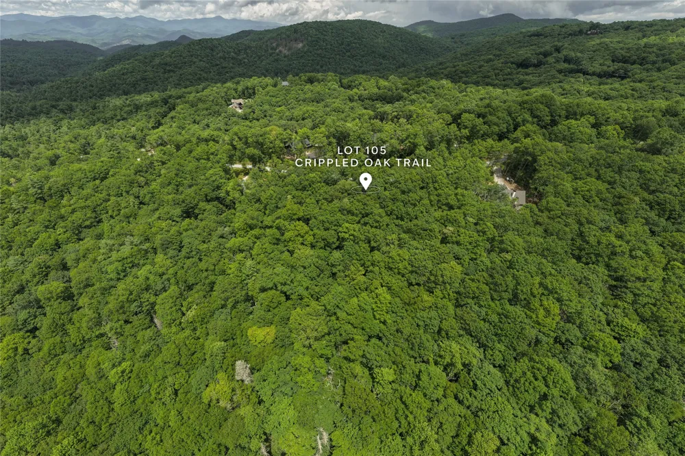 105 Crippled Oak Trail Glenville, NC 28736