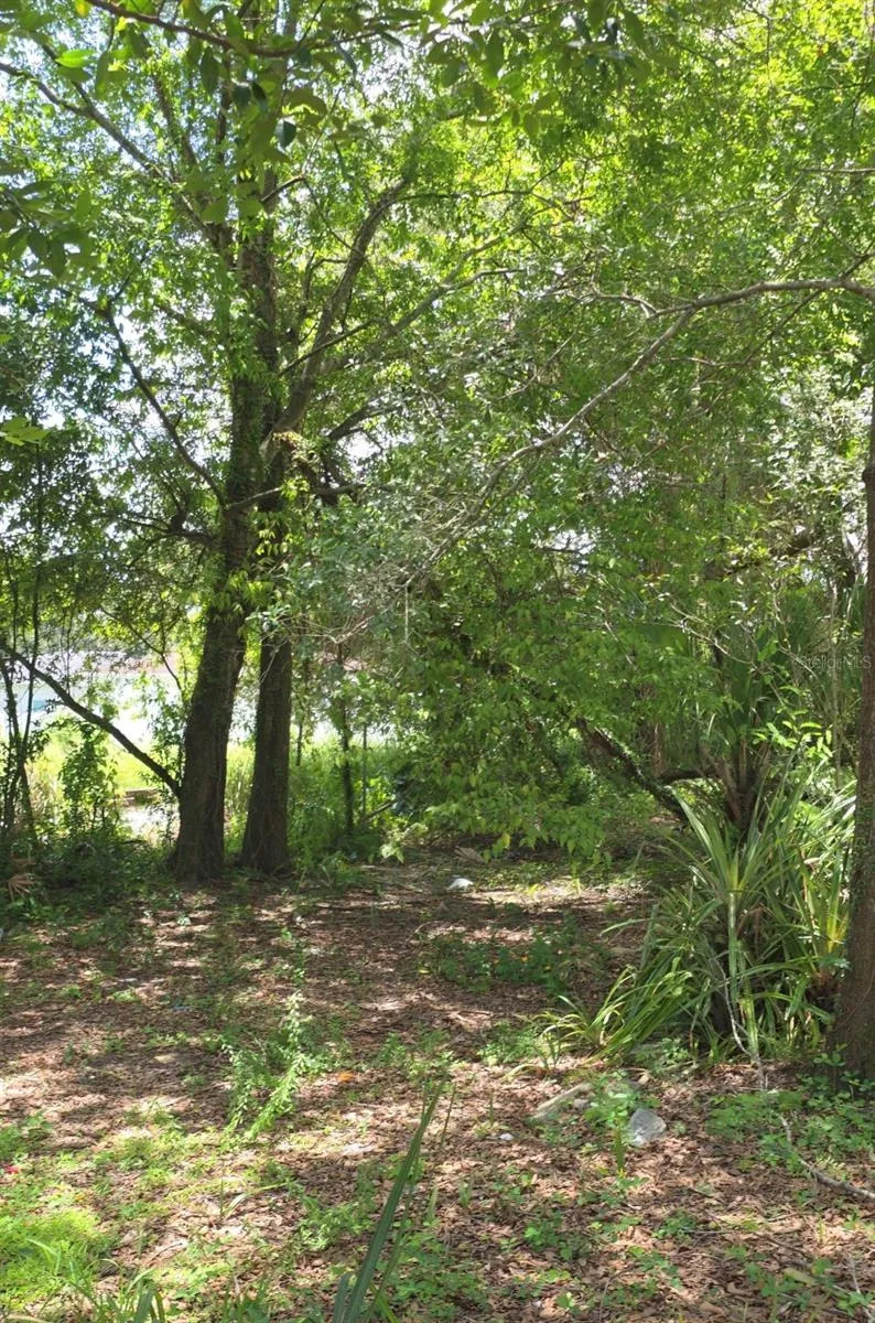 2919 E 25TH AVENUE Tampa, FL 33605