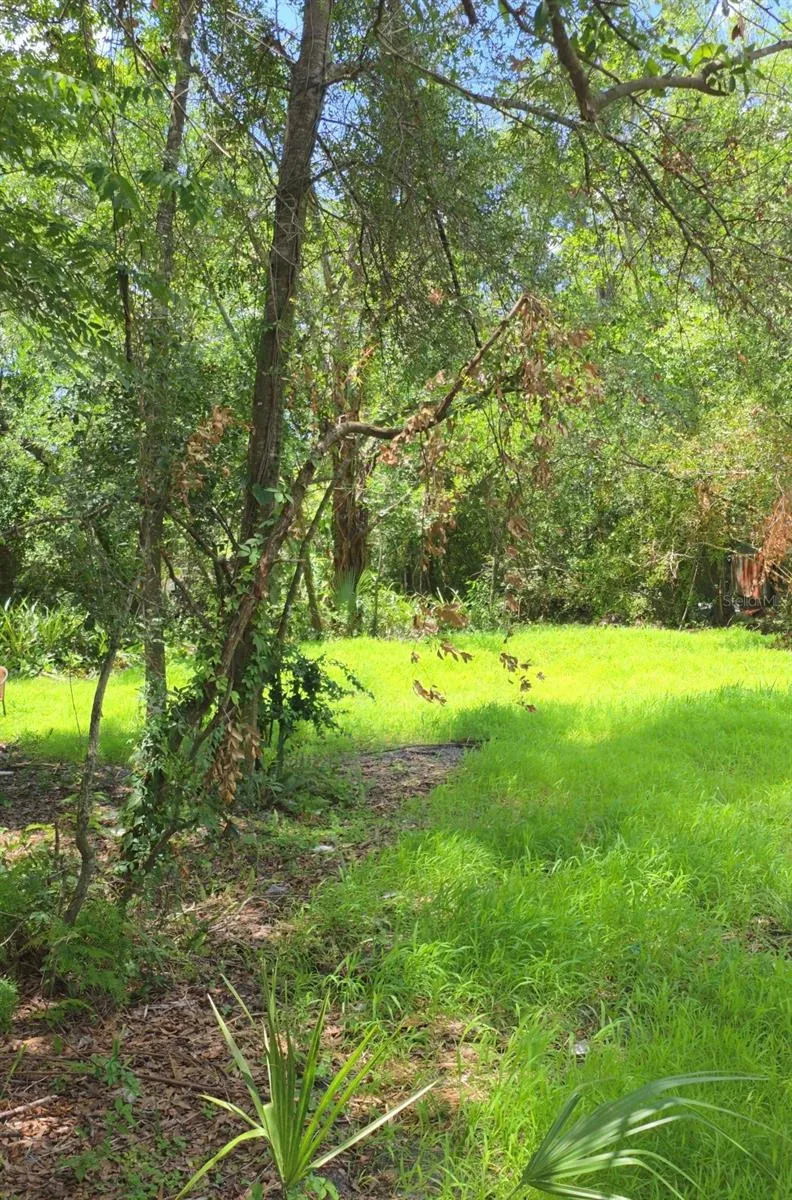 2919 E 25TH AVENUE Tampa, FL 33605