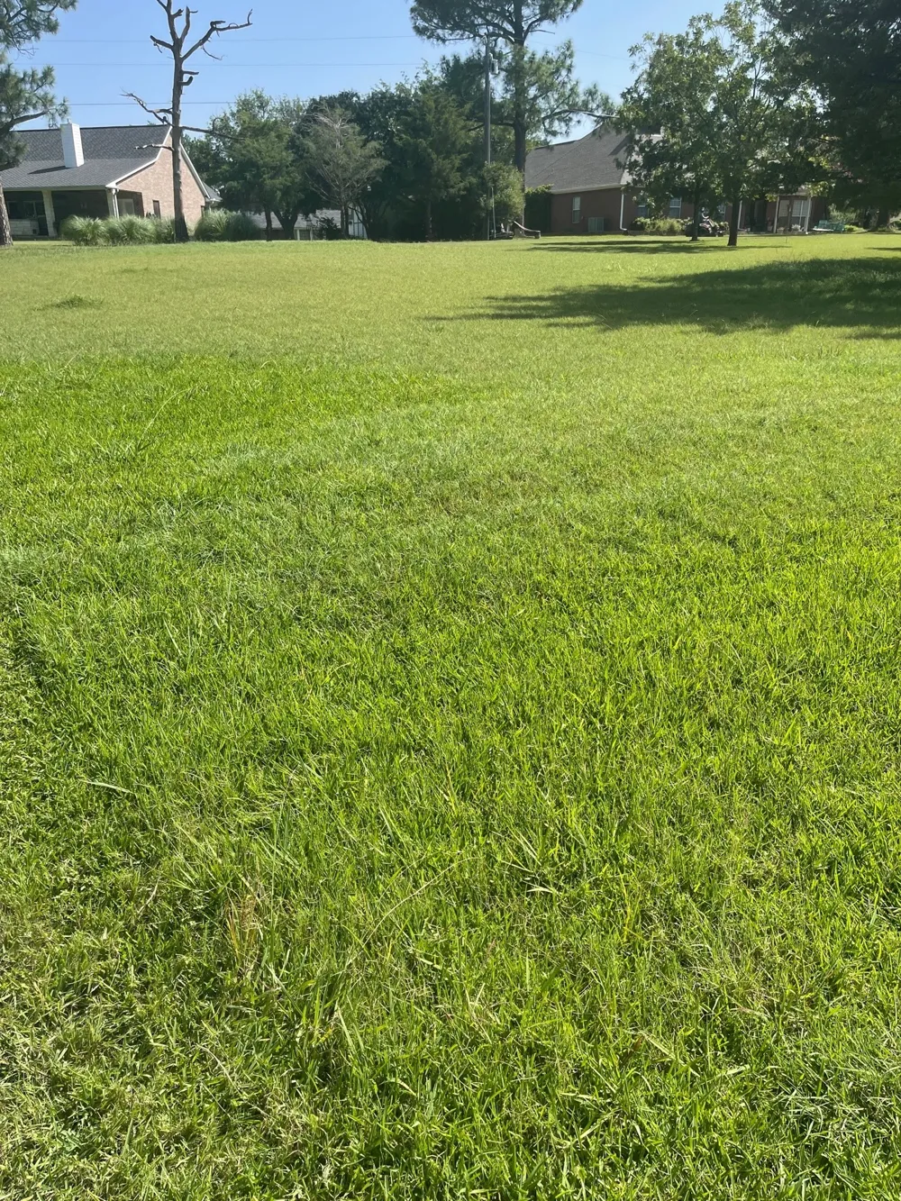 Randall Terrace Road Denison, TX 75020
