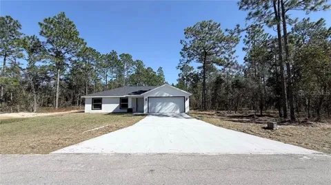 2990 TIMBERLAKE