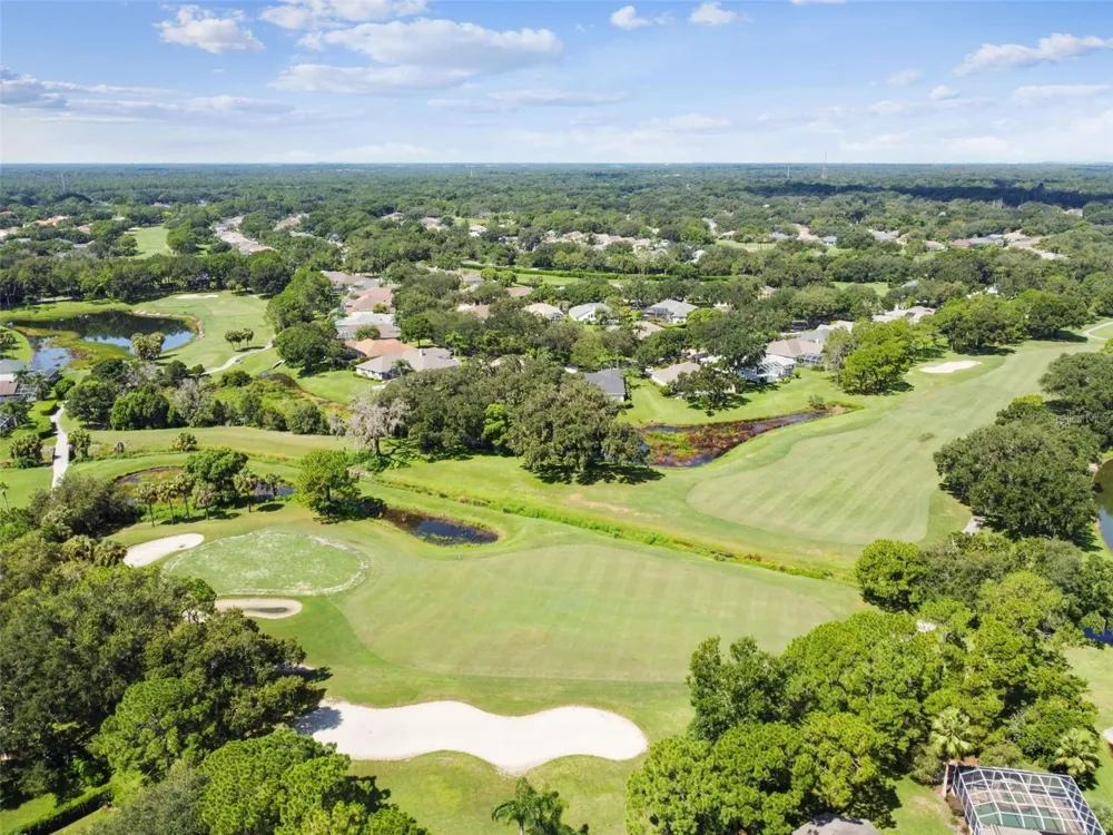 5306 WATERLEAF COURT Valrico, FL 33596