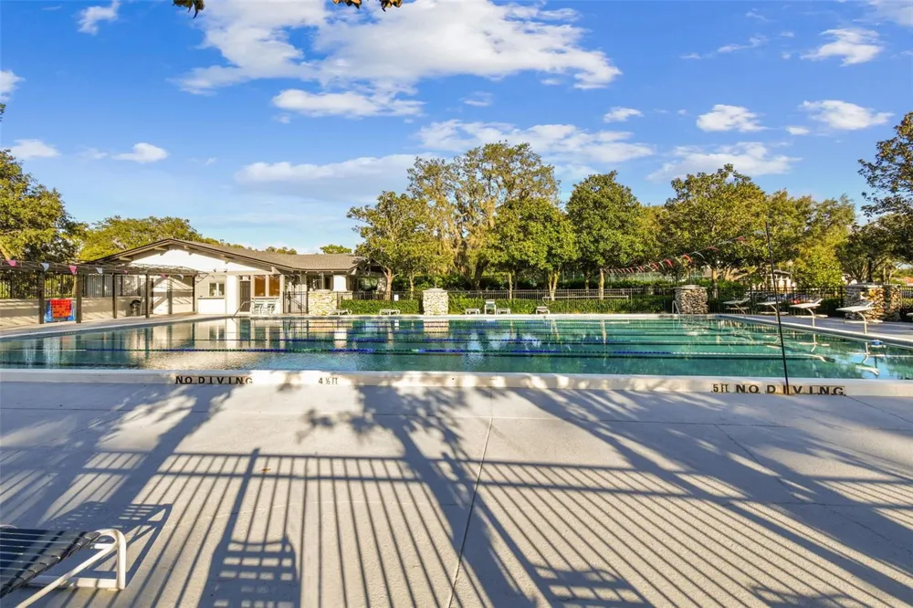 5306 WATERLEAF COURT Valrico, FL 33596