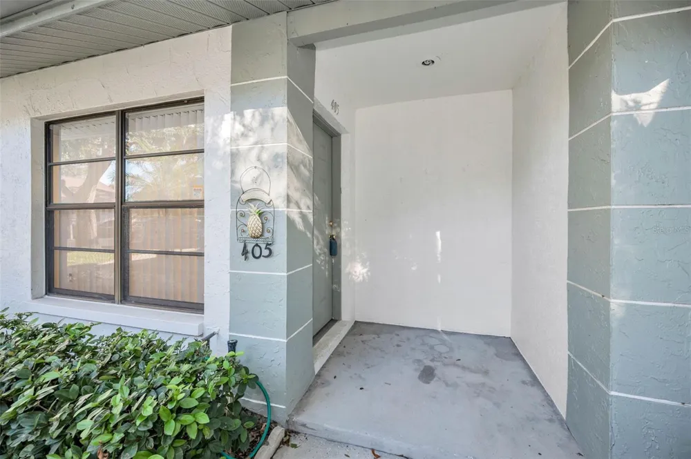 3500 MAGNOLIA RIDGE CIRCLE #405 Palm Harbor, FL 34684