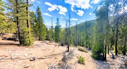 111 Kevin Gulch Road