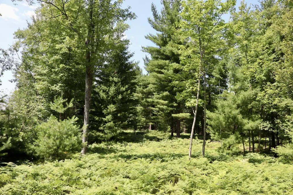 1 E Greenwood Road Prescott, MI 48756