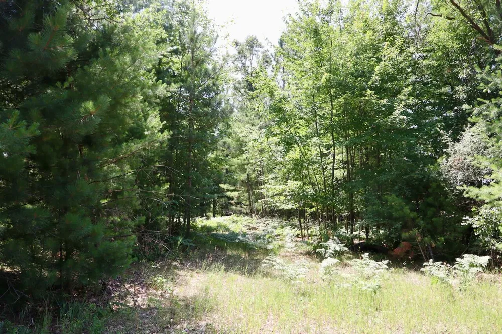 1 E Greenwood Road Prescott, MI 48756