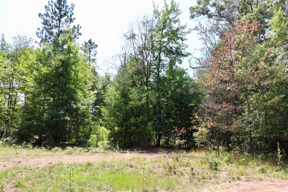 1 E Greenwood Road Prescott, MI 48756