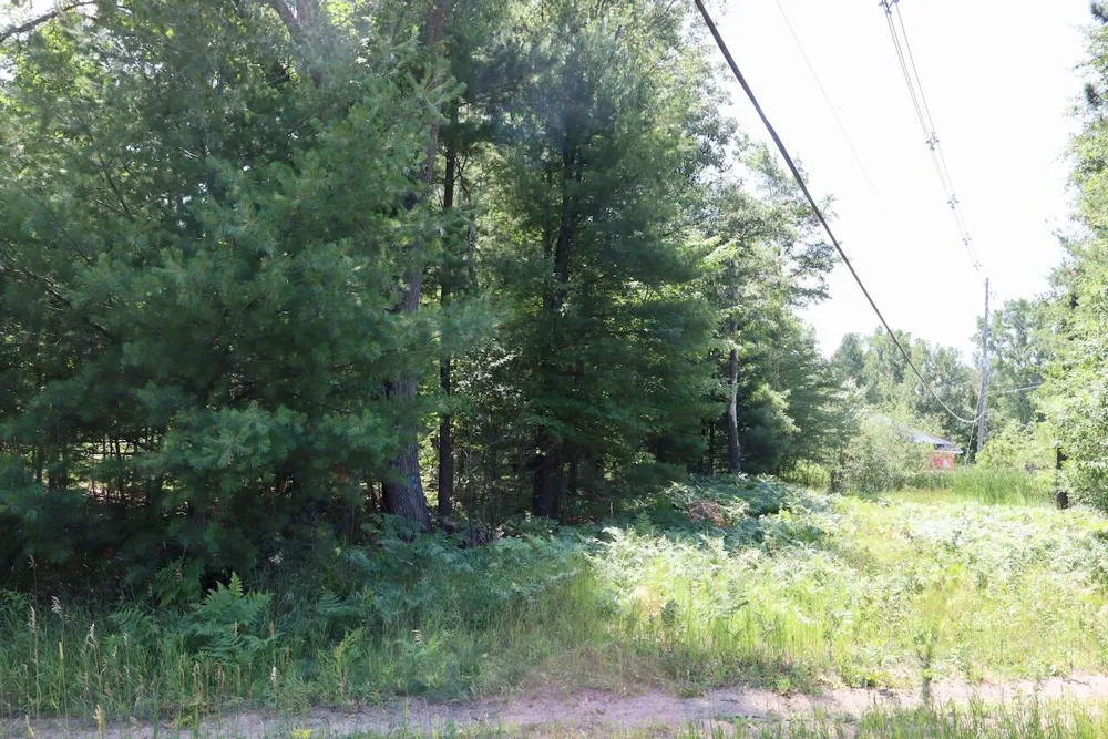 1 E Greenwood Road Prescott, MI 48756