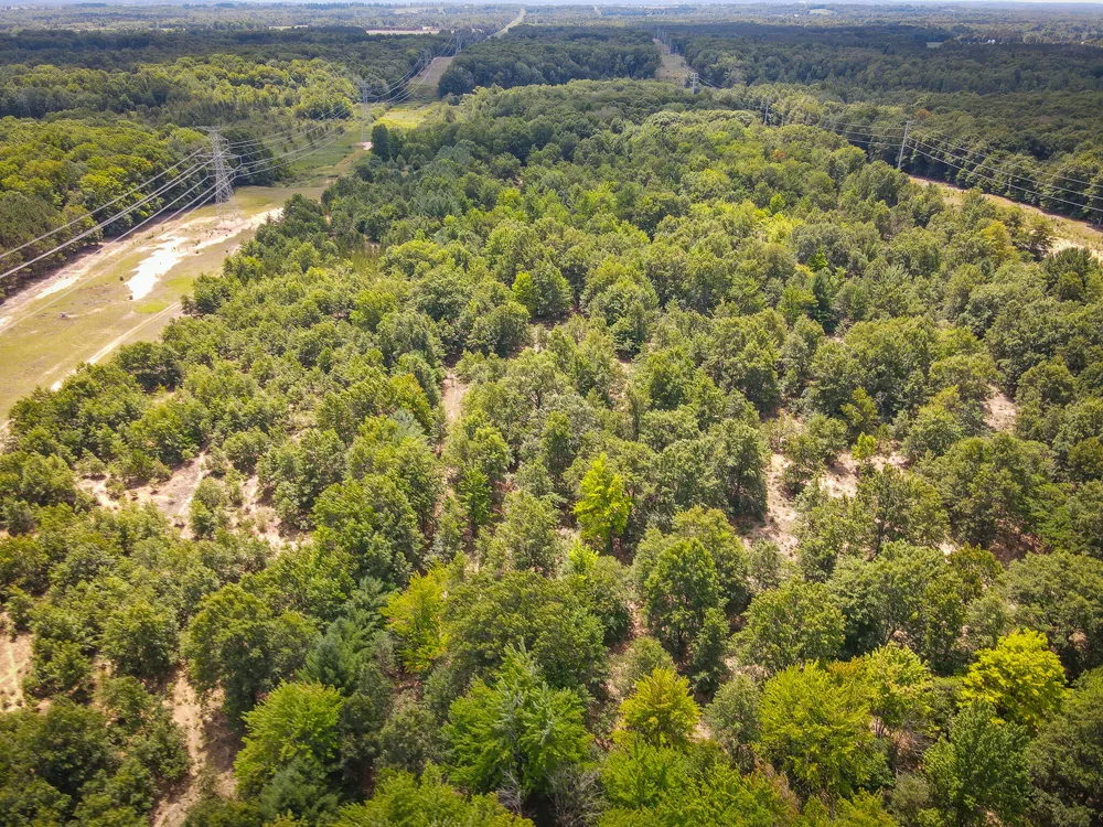 W Adams Road Pentwater, MI 49449
