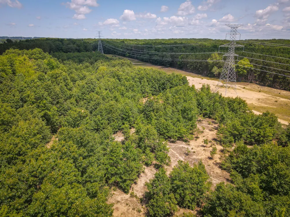 W Adams Road Pentwater, MI 49449