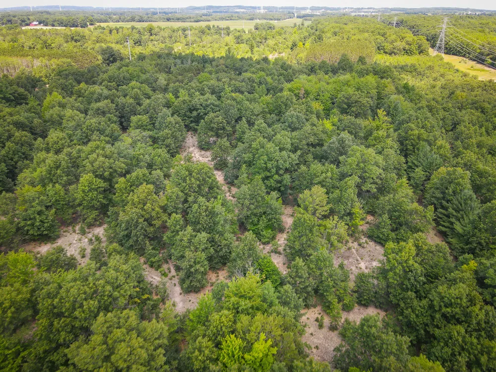 W Adams Road Pentwater, MI 49449