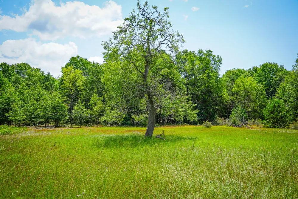 W Adams Road Pentwater, MI 49449