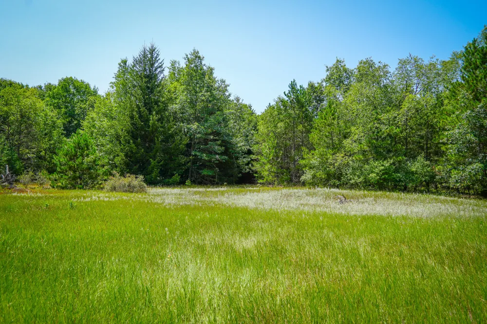 W Adams Road Pentwater, MI 49449