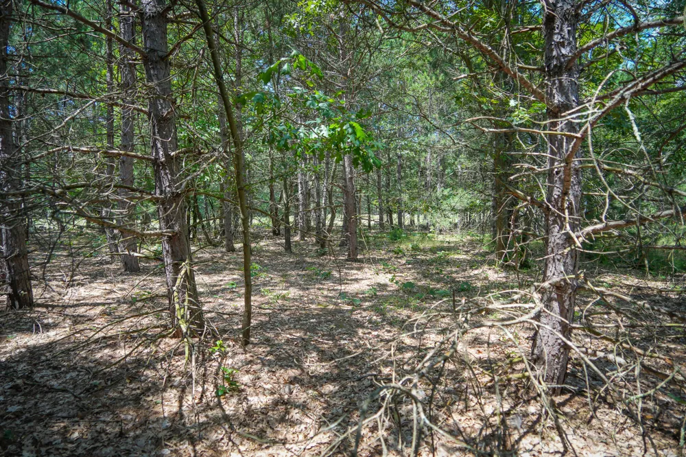 W Adams Road Pentwater, MI 49449