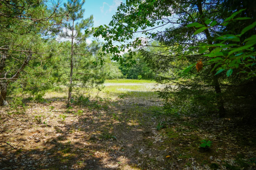 W Adams Road Pentwater, MI 49449