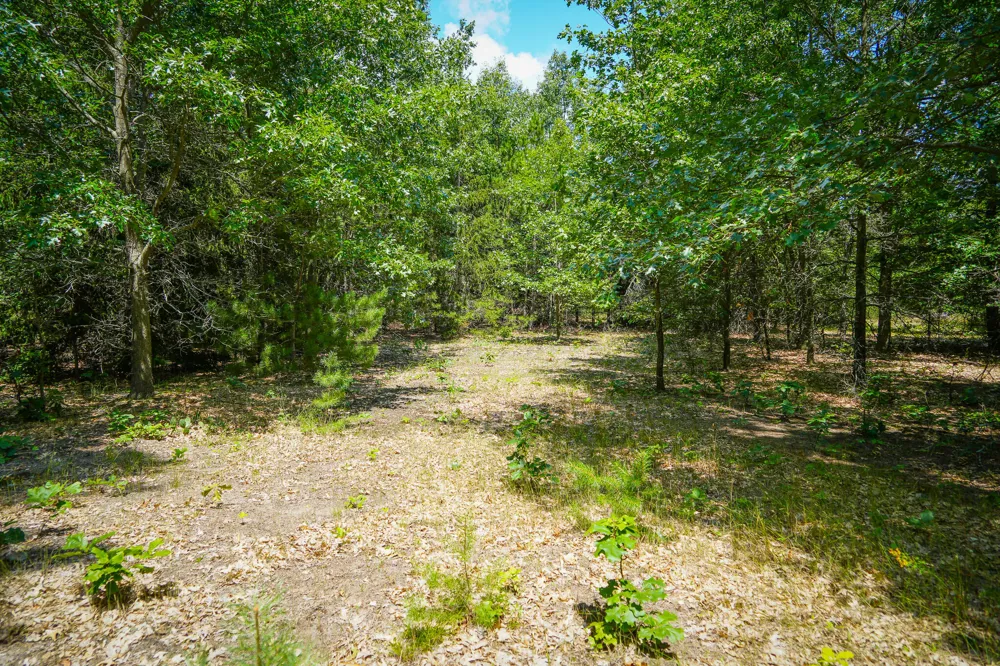 W Adams Road Pentwater, MI 49449