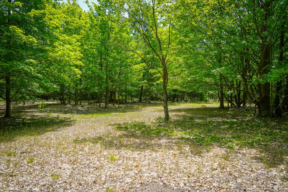 W Adams Road Pentwater, MI 49449