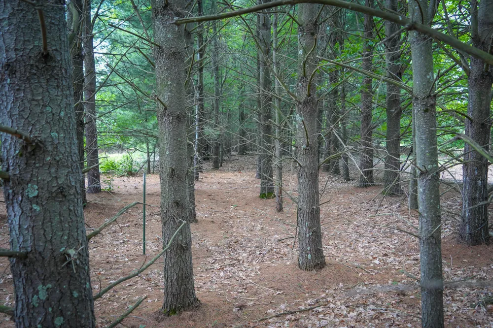W Adams Road Pentwater, MI 49449