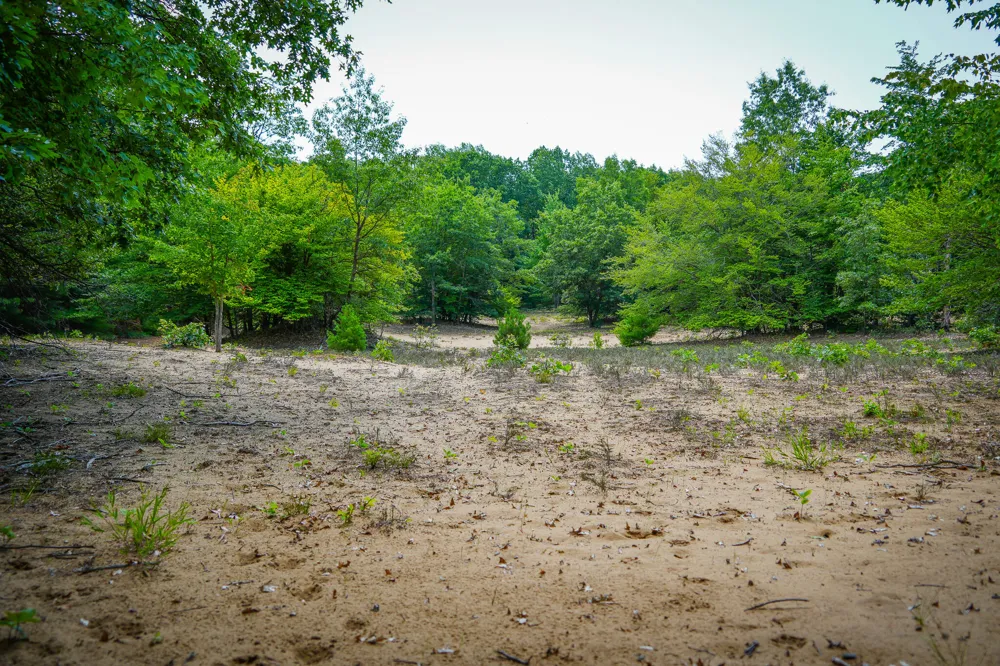 W Adams Road Pentwater, MI 49449