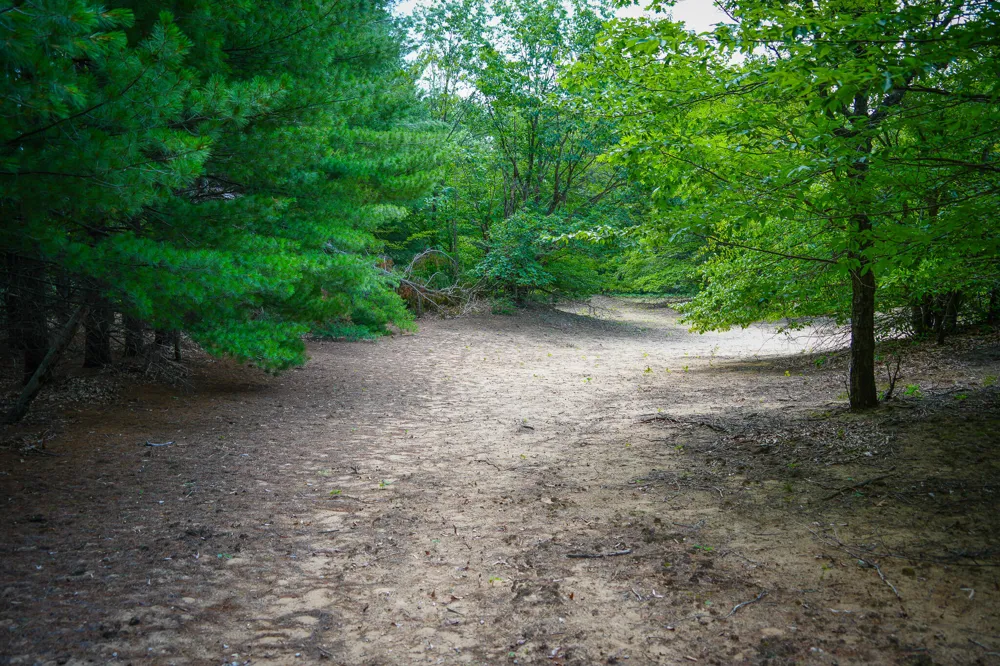 W Adams Road Pentwater, MI 49449