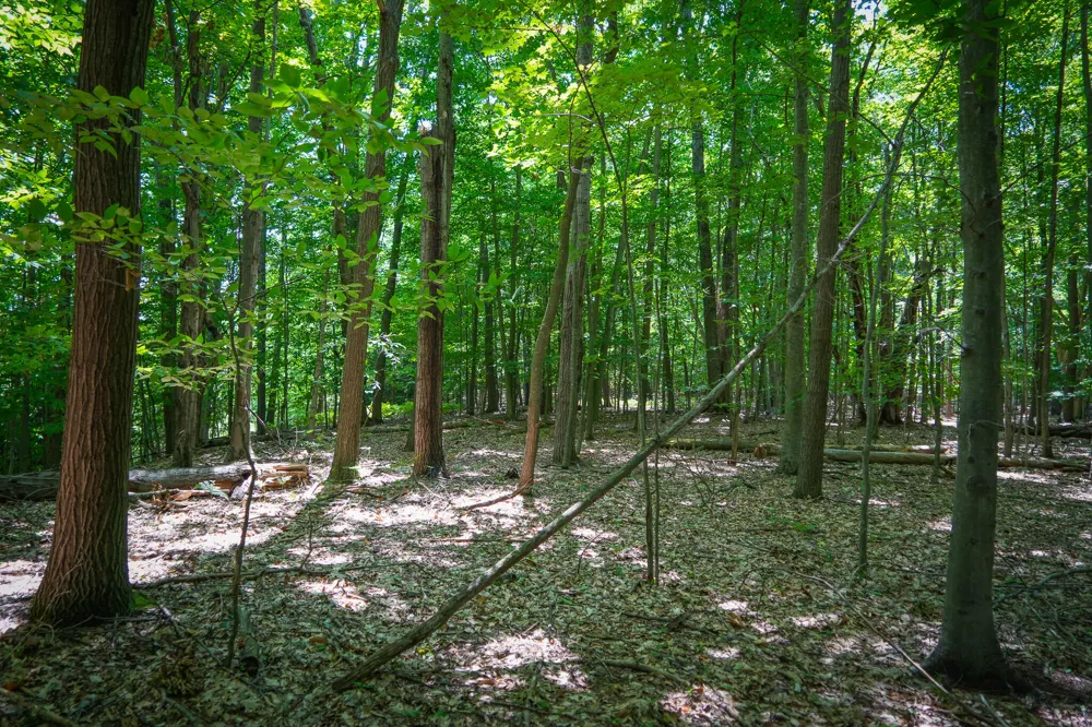 W Adams Road Pentwater, MI 49449