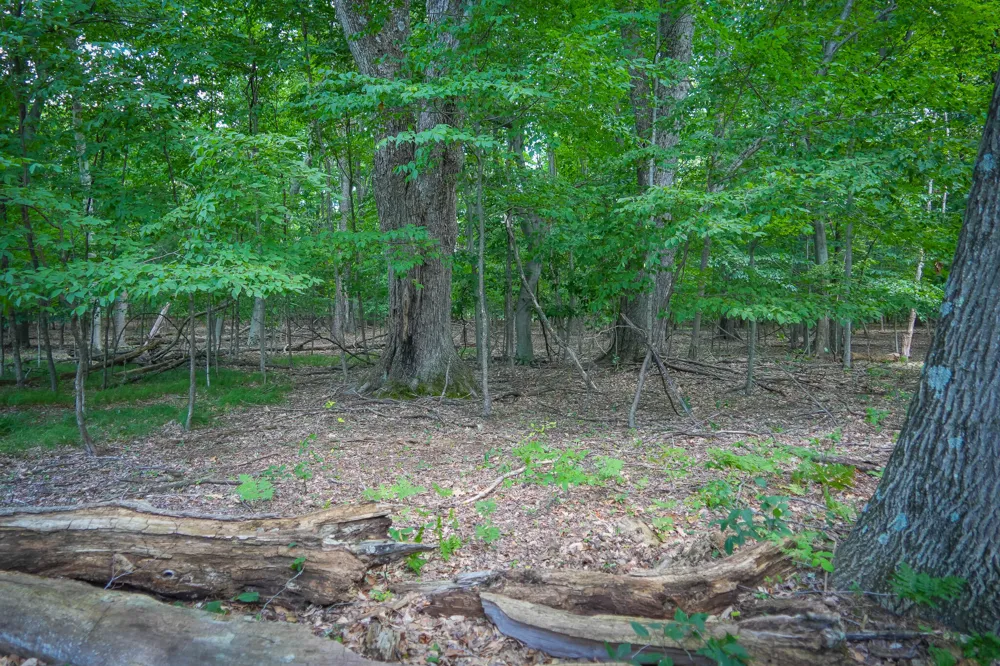 W Adams Road Pentwater, MI 49449