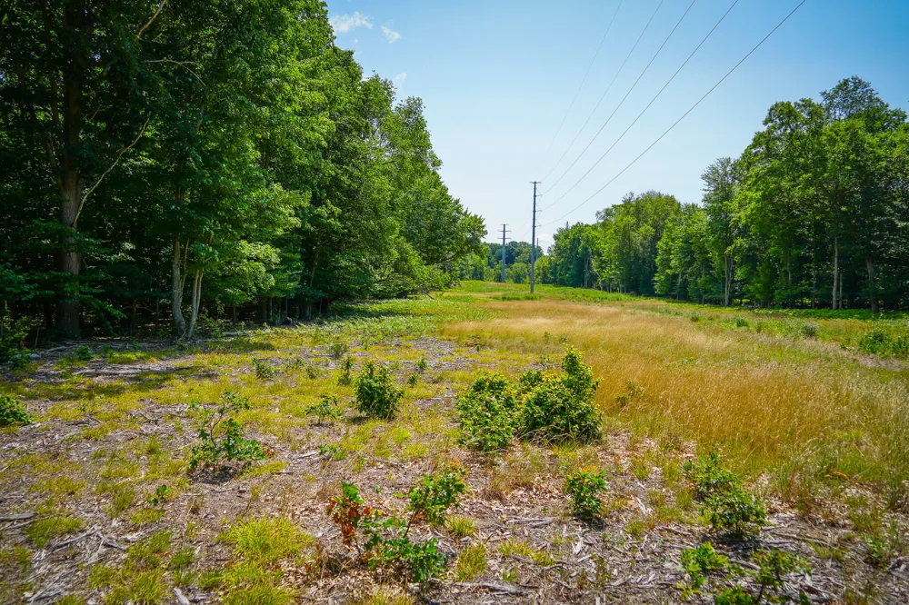 W Adams Road Pentwater, MI 49449