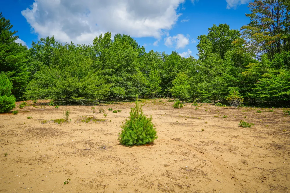 W Adams Road Pentwater, MI 49449