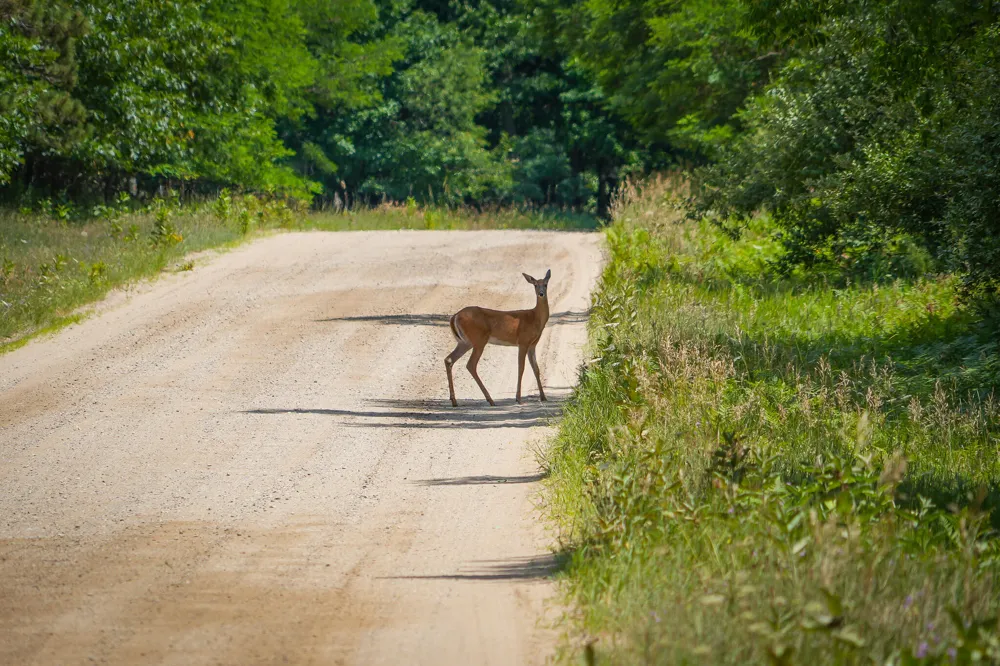 W Adams Road Pentwater, MI 49449
