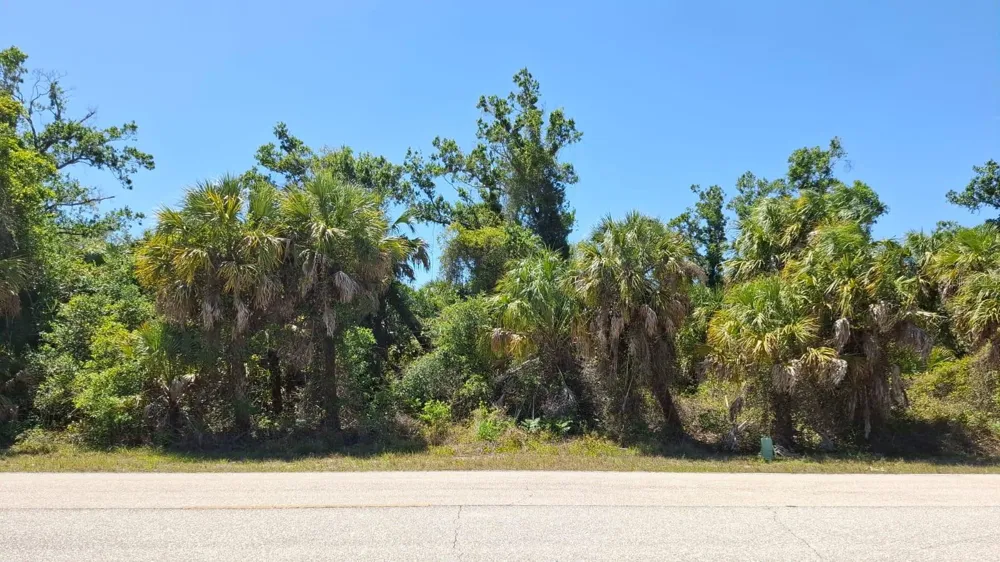 243 WARRINGTON BOULEVARD Port Charlotte, FL 33954